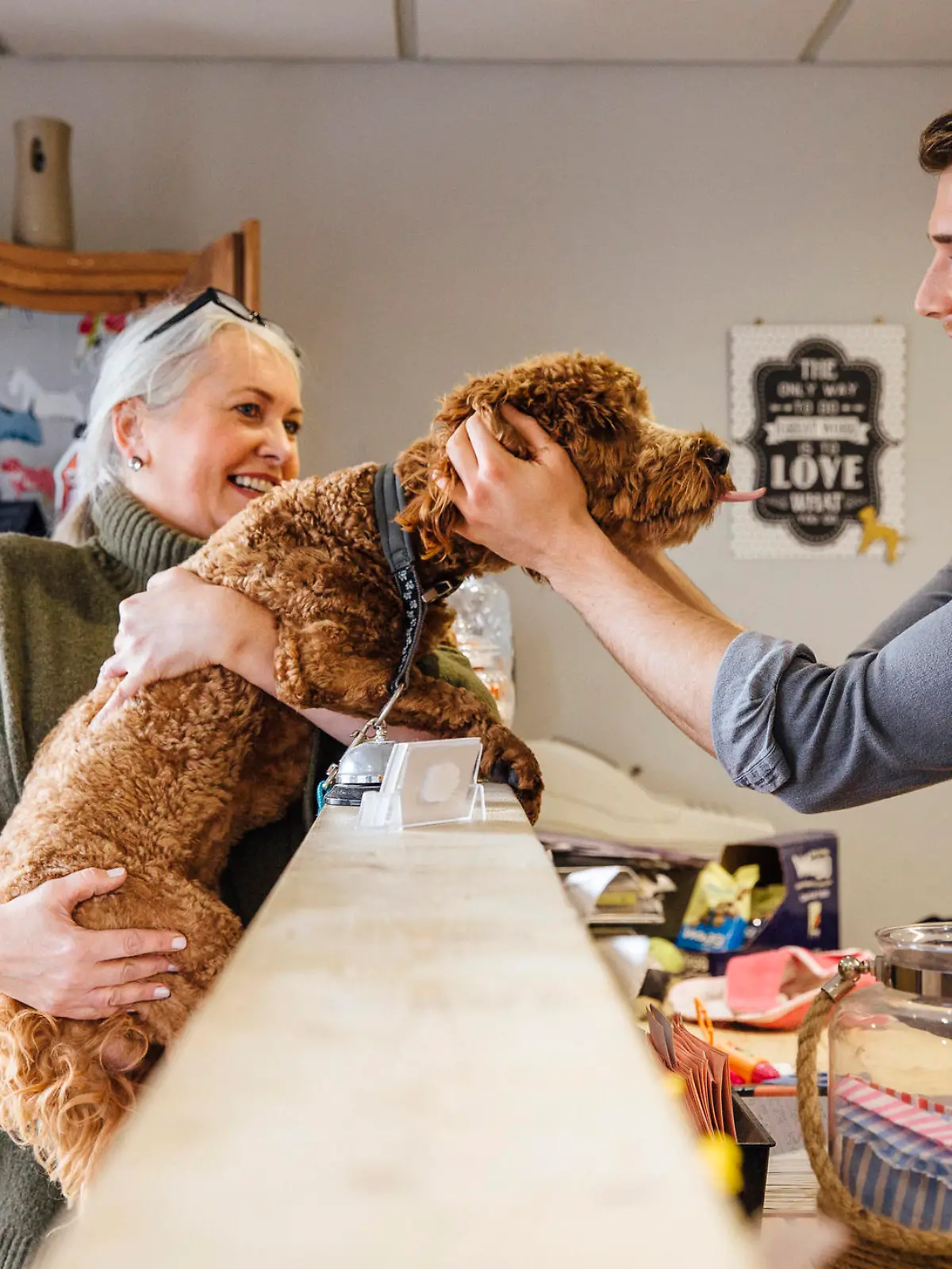 Mature woman is at the reception in the dog grooming salon with her pet cockapoo. The dog is leaning over the counter to recieve affection from the dog groomer.