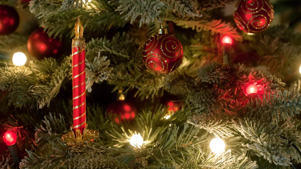 Thanks for looking at this image, please have a look at all my festive series by clicking on these lightbox links.