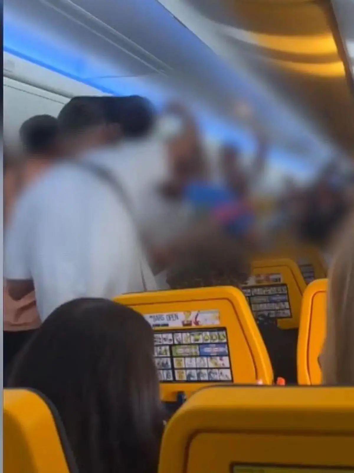 Horror-Party über den Wolken! Ein entspannter Flug mit Ryanair in den Urlaub nach Ibiza? Von wegen! Diese Party Gruppe aus Edinburgh hat da andere Pläne und startet im Flugzeug erst mal eine ordentliche Party! Und da gehört natürlich alles dazu: laute Musik, grölen, singen, gegen die Gepäckteile schlagen und andere Passagiere belästigen! Ein absolutes NO GO! Die unfassbaren Szenen zeigen wir Ihnen hier im Video.