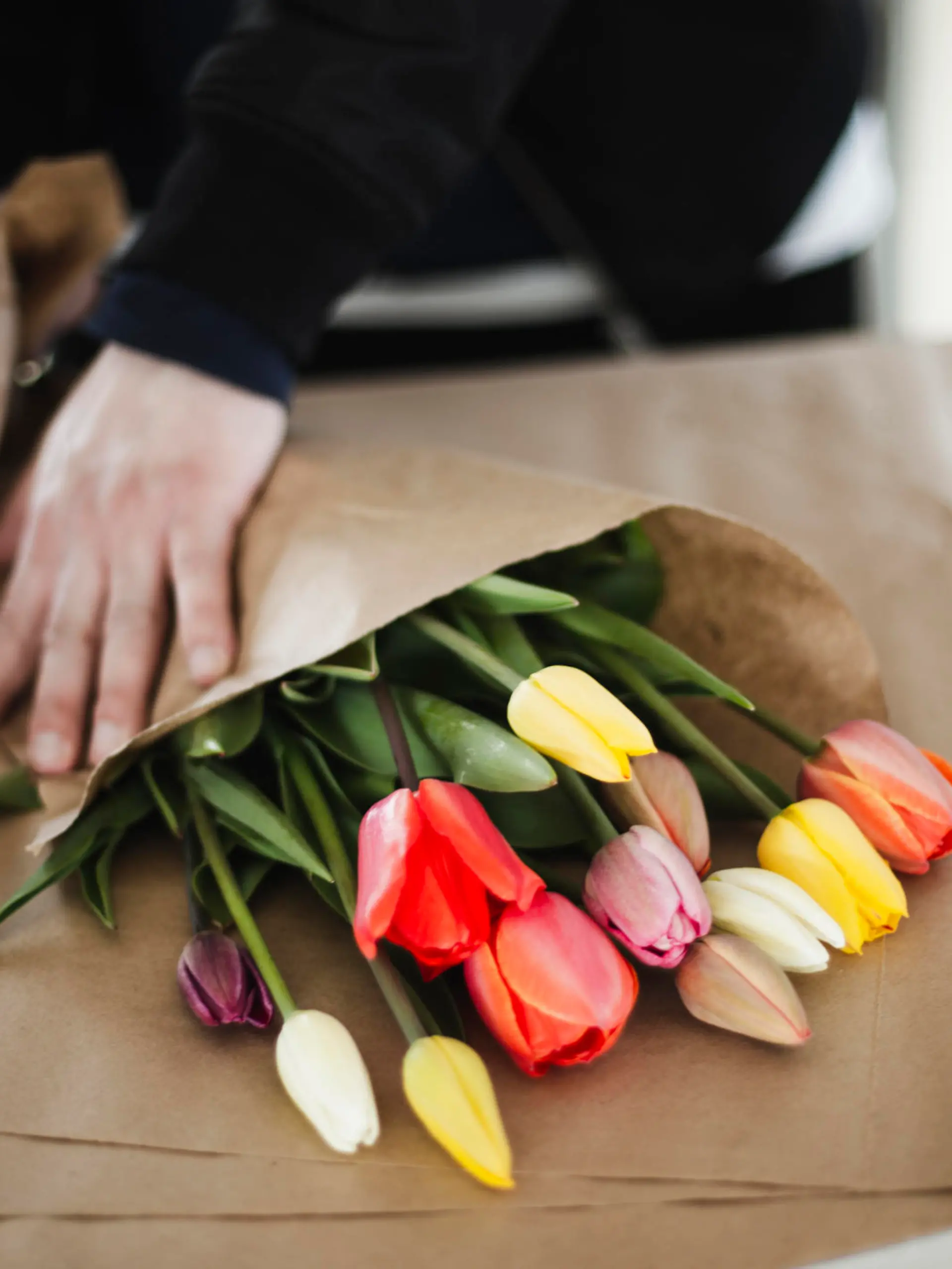 Tulpen werden eingepackt
