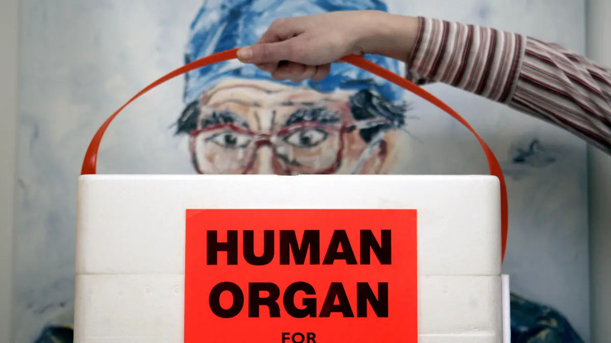 ARCHIV - Eine Mitarbeiterin der Deutschen Stiftung für Organtransplantation in Neu-Isenburg (Kreis Offenbach) hält am 18.02.2005 in einem Büro der Organisation eine spezielle Kühlbox für Spenderorgane vor das Bild eines Chirurgen. Angesichts der Leipziger Organspenden-Affäre fordert die Deutsche Stiftung Patientenschutz eine bundesweite Aufklärung aller Vorwürfe. Foto: Frank May dpa (zu dpa "Stiftung: Manipulation bei Organspenden sind kein Einzelfall" vom 02.01.2013)  +++(c) dpa - Bildfunk+++