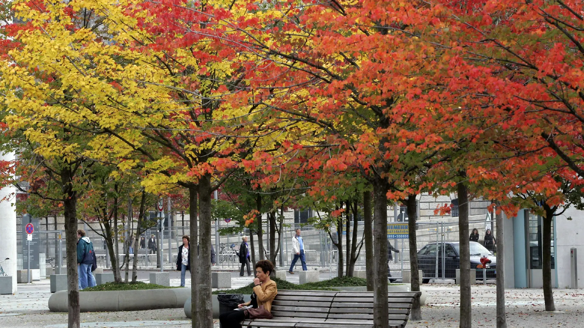 Unter grünem, roten und gelbem Laub genießt eine Frau am Freitag (28.09.2007) in Berlin den herbstlichen Tag. Am Samstag (29.09.) soll laut Meteorologen ein Tiefdruckgebiet mit Regen über das Land ziehen. Pünktlich zum bevorstehenden Marathon am kommenden Sonntag soll aber schon wieder zeitweise die Sonne bei Temperaturen zwischen 18 und 20 Grad scheinen. Foto: Rainer Jensen dpa/lbn +++(c) dpa - Bildfunk+++