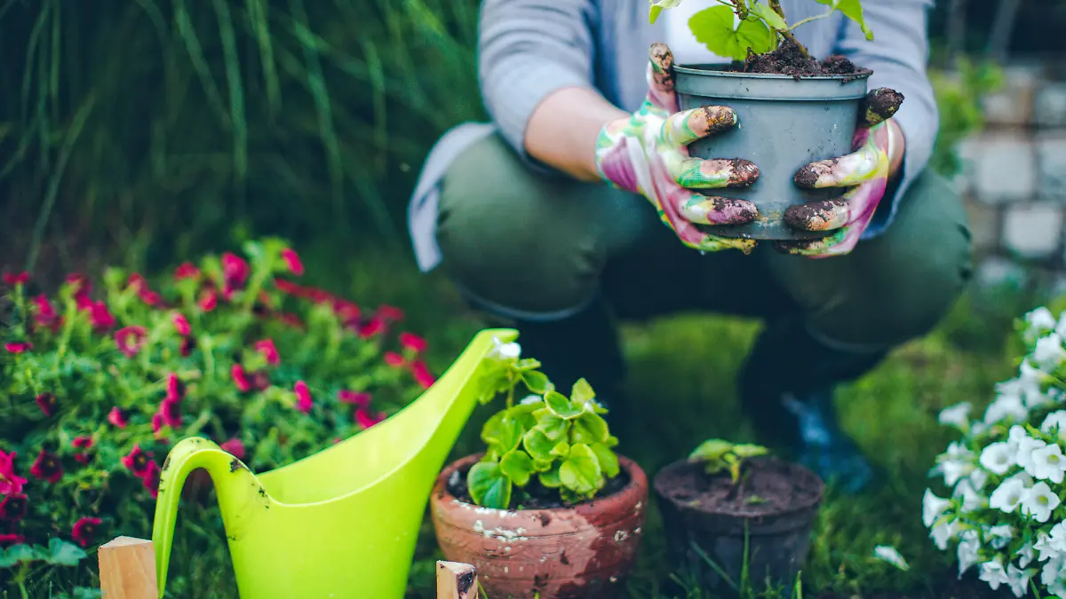 Portrait of mid-adult woman proudly showing her plants
