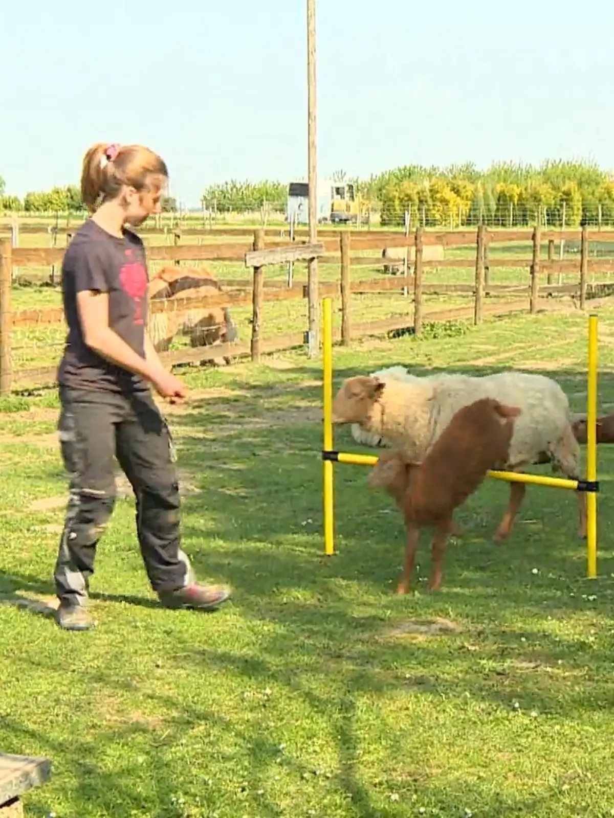 Bild zu: "Training in Erkelenz"