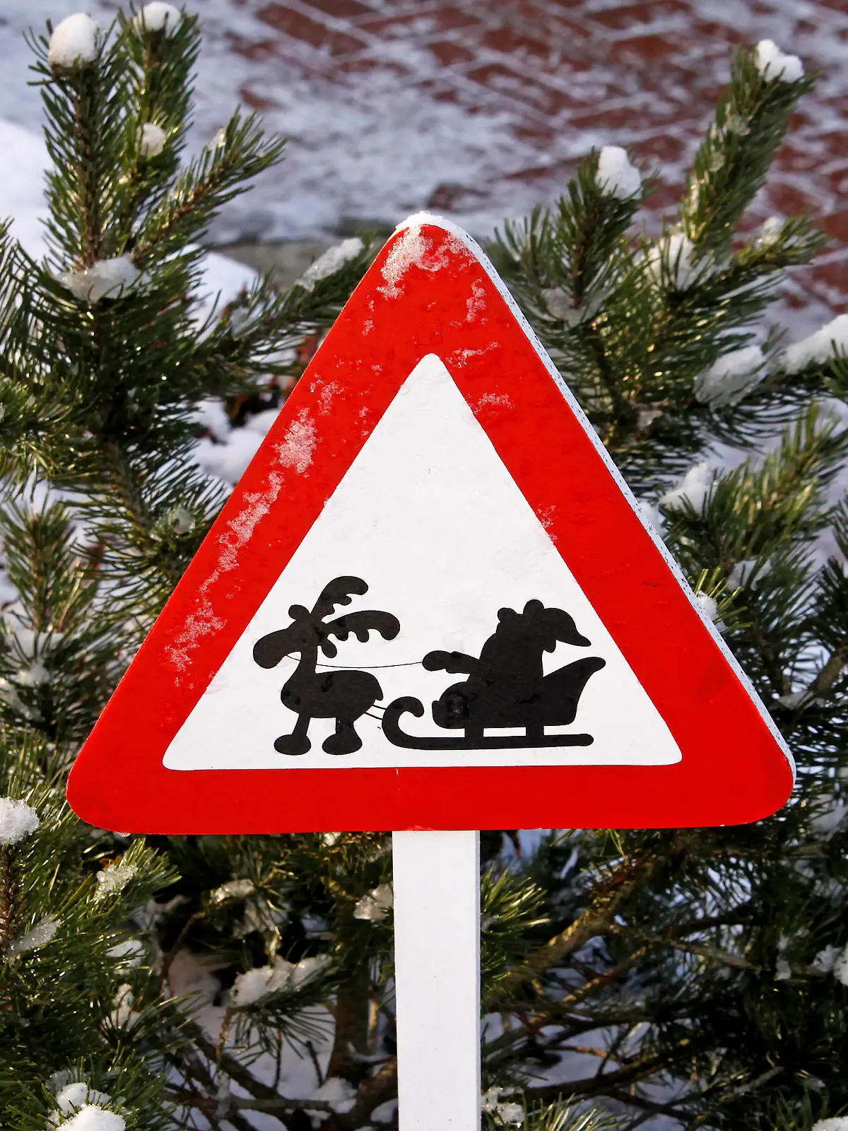  weihnachten,straßenschild,weihnachtsmann *** christmas,street sign,santa clause g1e-fl8
