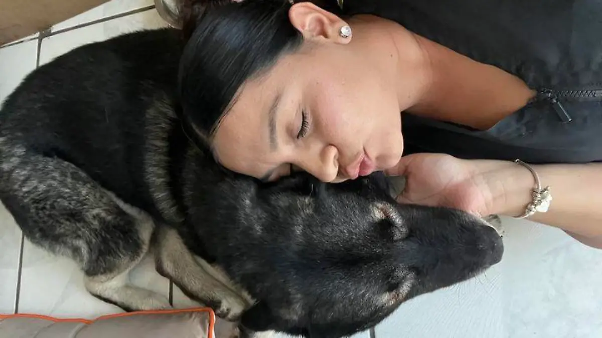 Hund Storm mit Besitzerin