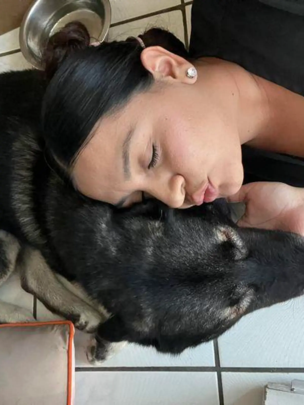 Hund Storm mit Besitzerin