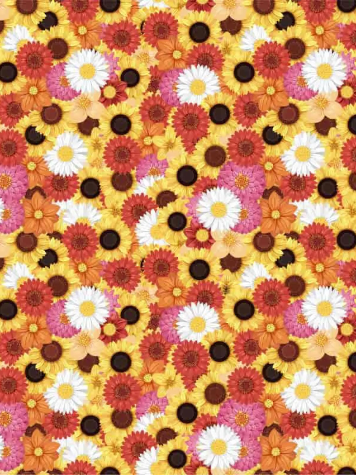 Suchbild: Finden Sie die Biene zwischen den Blumen?