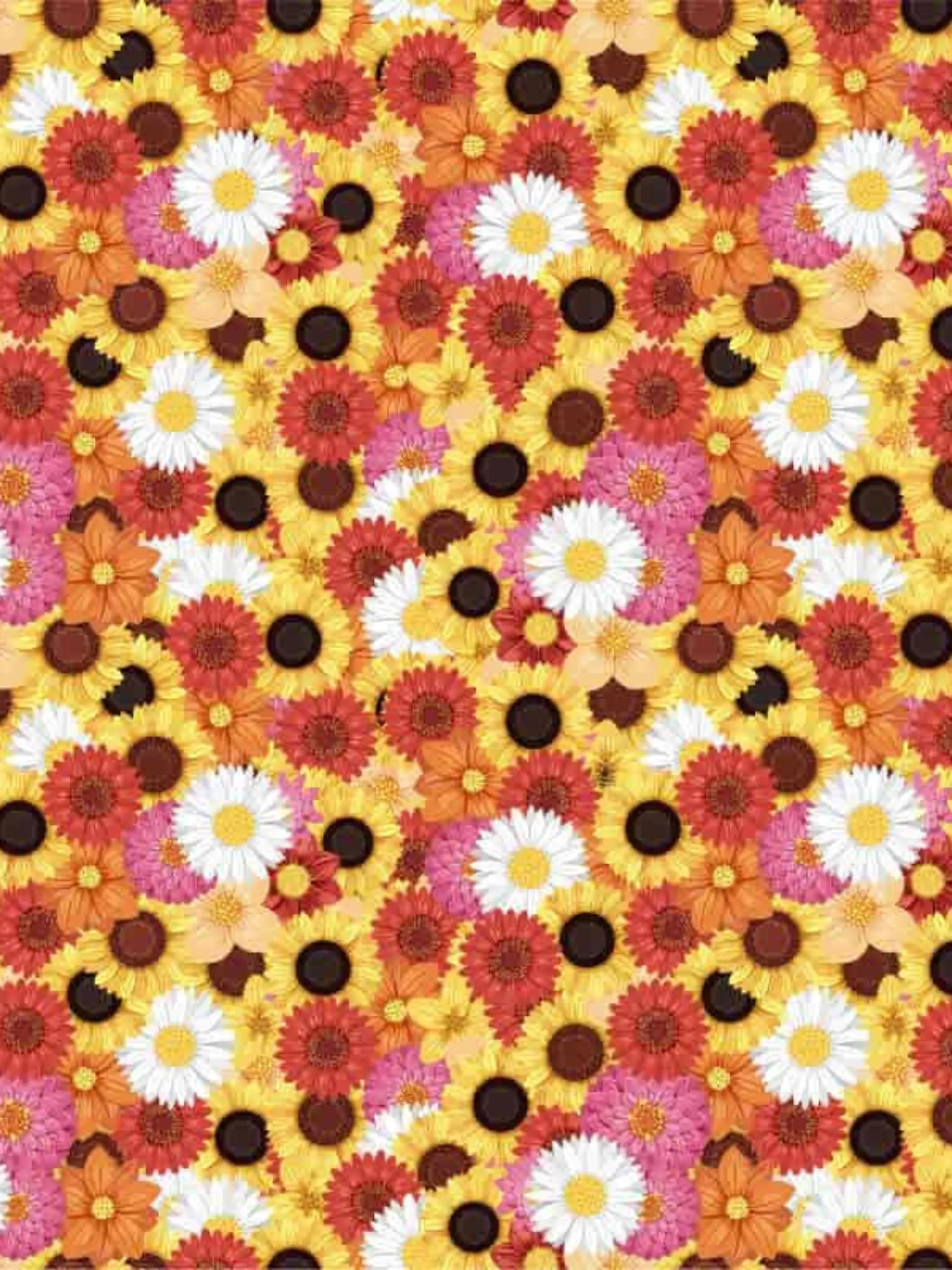 Suchbild: Finden Sie die Biene zwischen den Blumen?