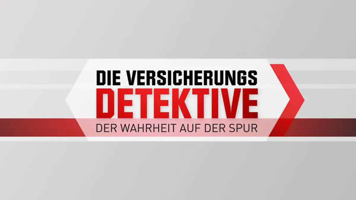 Die Versicherungsdetektive