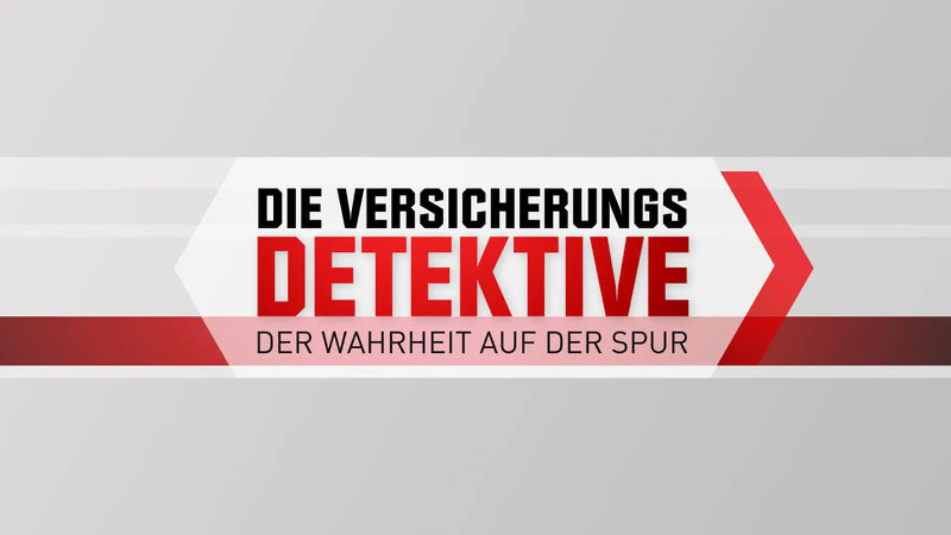 Die Versicherungsdetektive