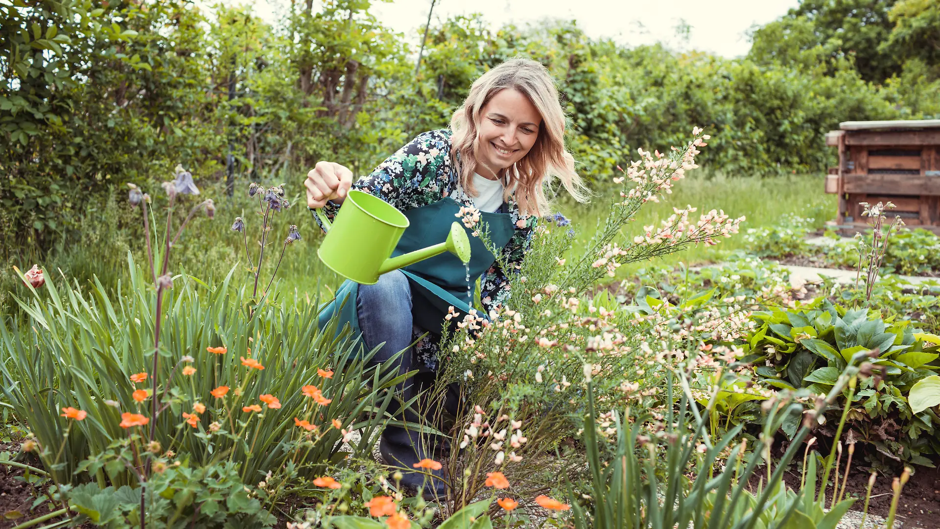 pretty blonde gardener working in garden with flowers and wearing green work apron