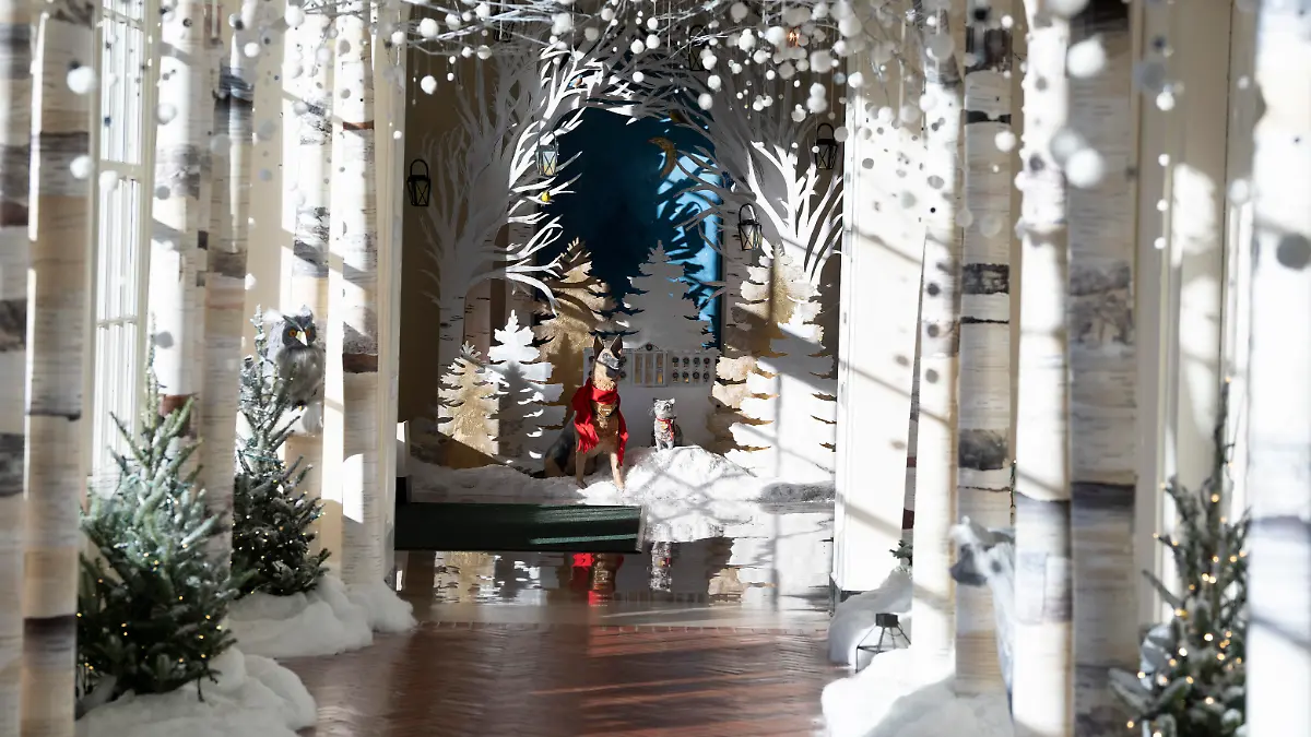 November 28, 2022, Washington, District of Columbia, USA: The 2022 White House Christmas decorations are previewed in the East Hall of the White House in Washington, DC on Monday, November 28, 2022. This yearâs holiday theme is âWe the People. (Credit Image: © Chris Kleponis/CNP via ZUMA Press Wire) / action press