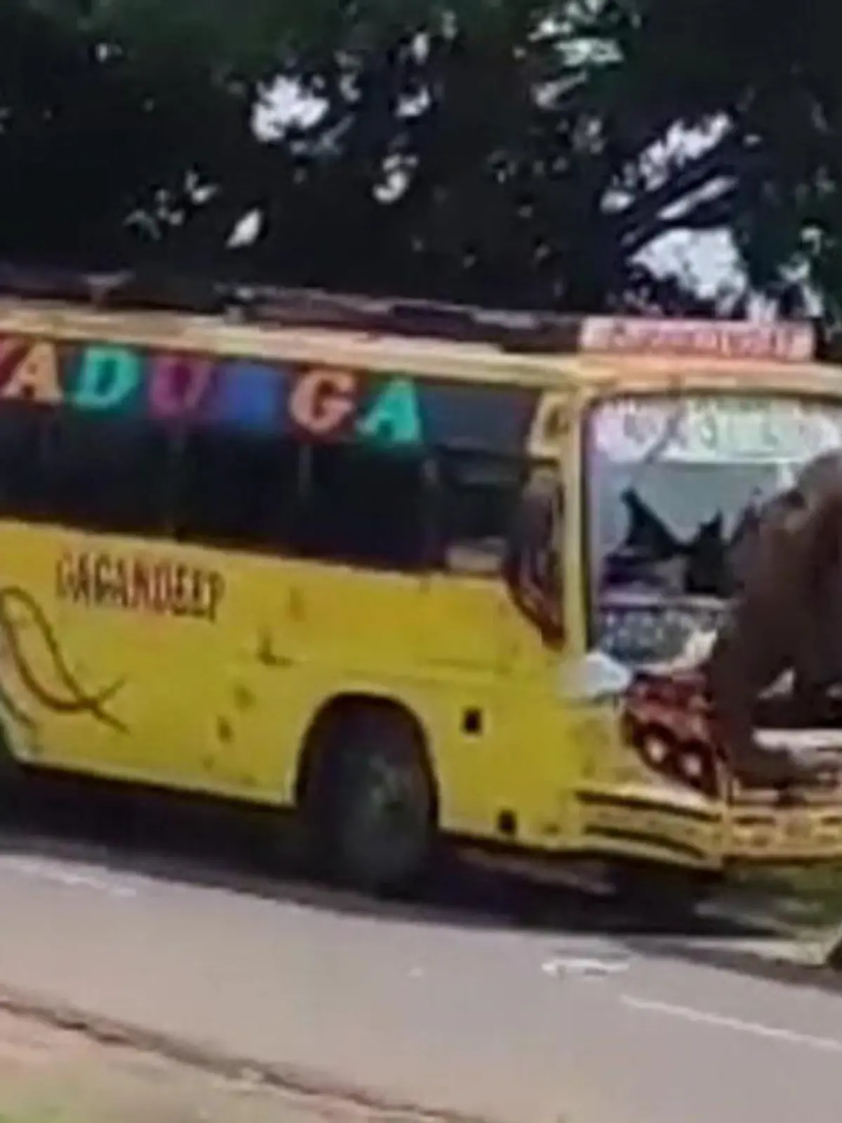 Ein Elefantenbulle greift im indischen Dorf Artham einen Reisebus an. Zunächst blockiert der Elefant nur die Straße, dann rennt er wie wildgeworden auf den Bus zu und zerstört die Windschutzscheibe. Die Passagiere flüchten panisch in alle Richtungen.