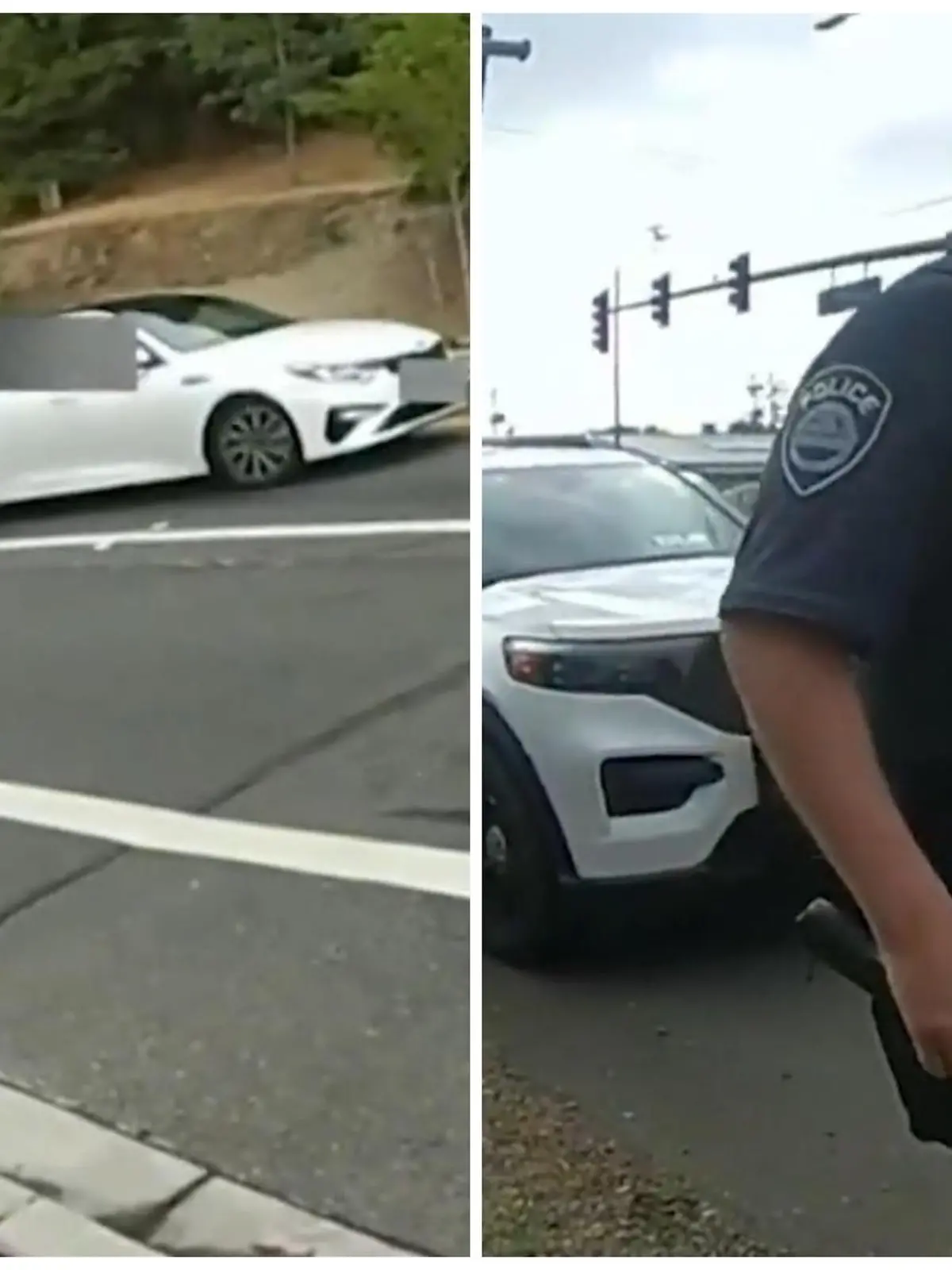 In Washington klauten drei Jugendliche ein Auto und flohen damit. Nach dem Versuch, sie mit Nagelsperren zu stoppen, flüchten sie zu Fuß in einen Wald. Um sie herauszulocken, benutzt ein Polizist eine ungewöhnliche Taktik: Er imitiert einen Polizeihund. Aus Angst ergeben sich die Tatverdächtigen.