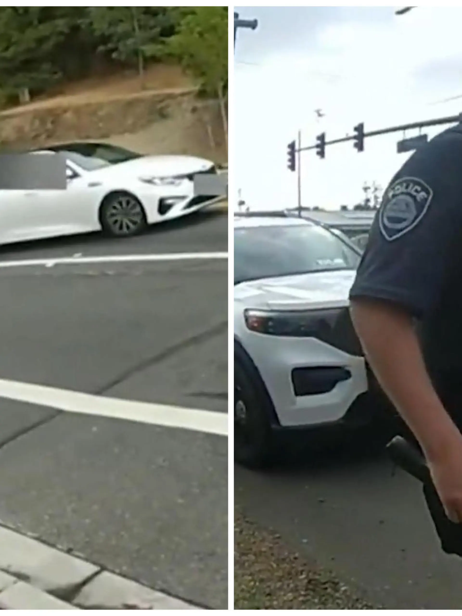 In Washington klauten drei Jugendliche ein Auto und flohen damit. Nach dem Versuch, sie mit Nagelsperren zu stoppen, flüchten sie zu Fuß in einen Wald. Um sie herauszulocken, benutzt ein Polizist eine ungewöhnliche Taktik: Er imitiert einen Polizeihund. Aus Angst ergeben sich die Tatverdächtigen.