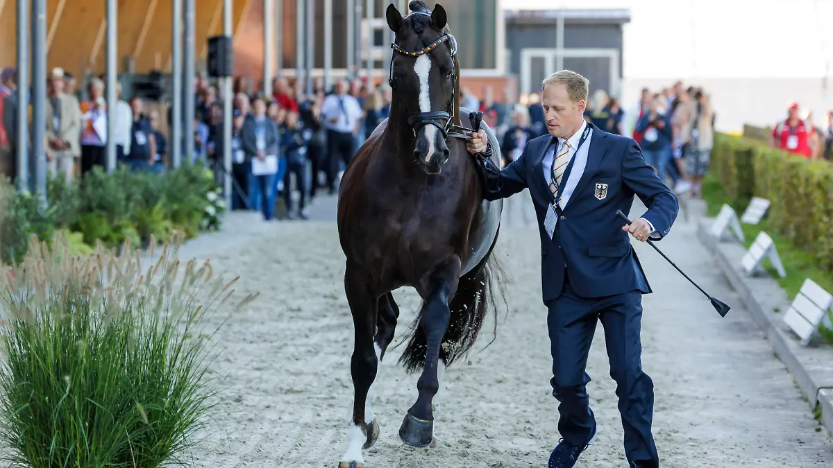RIESENBECK - FEI Dressage and Para-Dressage European Championship, EM, Europameisterschaft 2023, RIESENBECK - FEI Dressage and Para-Dressage European Championship 2023 RATH Matthias Alexander GER, Thiago GS Vet-Check / Horse Inspection for Dressage horses Riesenbeck, Reitanlage Riesenbeck International 05. September 2023 - *** RIESENBECK FEI Dressage and Para Dressage European Championship 2023, RIESENBECK FEI Dressage and Para Dressage European Championship 2023 RATH Matthias Alexander GER , Thiago GS Vet Check Horse Inspection for Dressage horses Riesenbeck, Reitanlage Riesenbeck International 05 September 2023