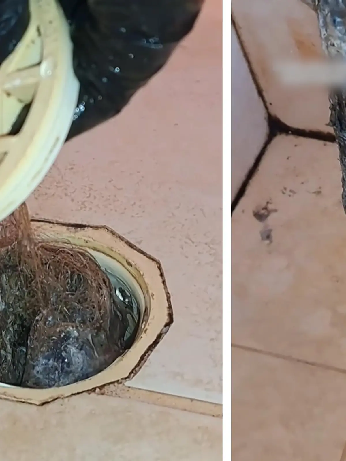 Die Wulst aus Haaren - und was auch immer sonst noch dabei ist - will einfach nicht enden! Schockiert zieht Klempner Bruce in Australien einen langen Ekel-Klumpen aus dem Duschabfluss. Das Video stellt er ins Netz und sorgt damit für Übelkeit und Unbehagen auf der ganzen Welt. Die Kommentare und die schmutzigen Aufnahmen zeigen wir im Video.