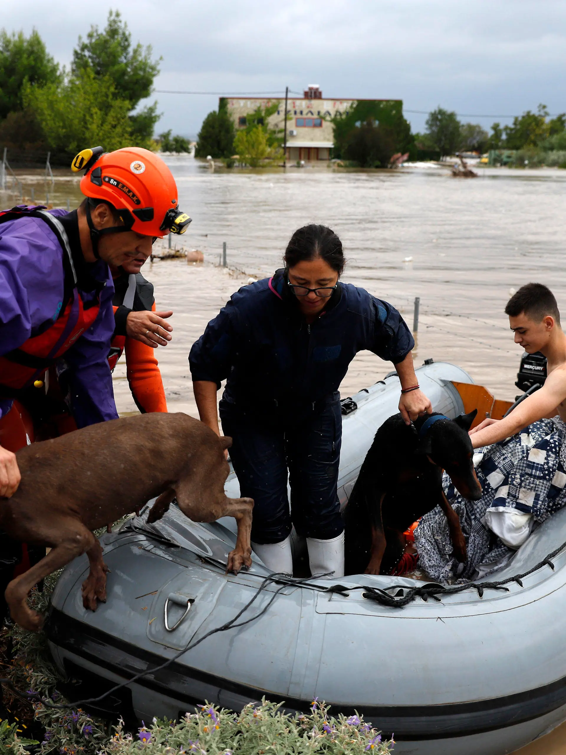 06.09.2023, Griechenland, Larissa: Feuerwehrleute mit einem Schlauchboot evakuieren Menschen und ihre Hunde aus überfluteten Gebäuden. Am 05.09.2023 waren nach einem Unwetter in der Westtürkei nahe der Grenze zu Griechenland und Bulgarien zwei Menschen ums Leben gekommen. Foto: Vaggelis Kousioras/AP/dpa +++ dpa-Bildfunk +++