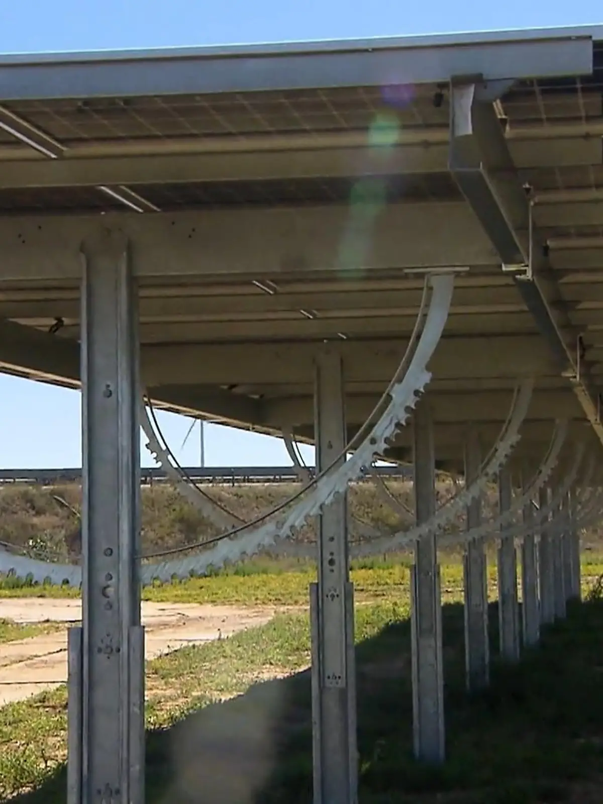 Bild zu: "„Agri-Photovoltaik“"