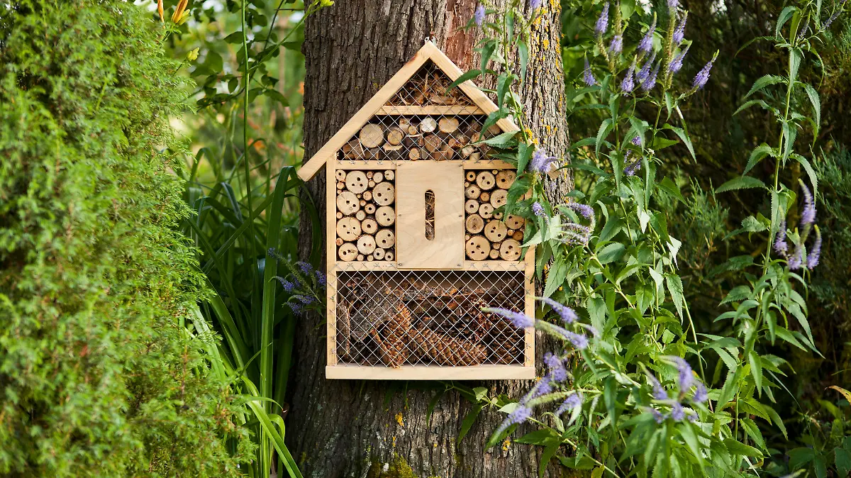 Insect house in the garden, protection for insects, insekten hotel.