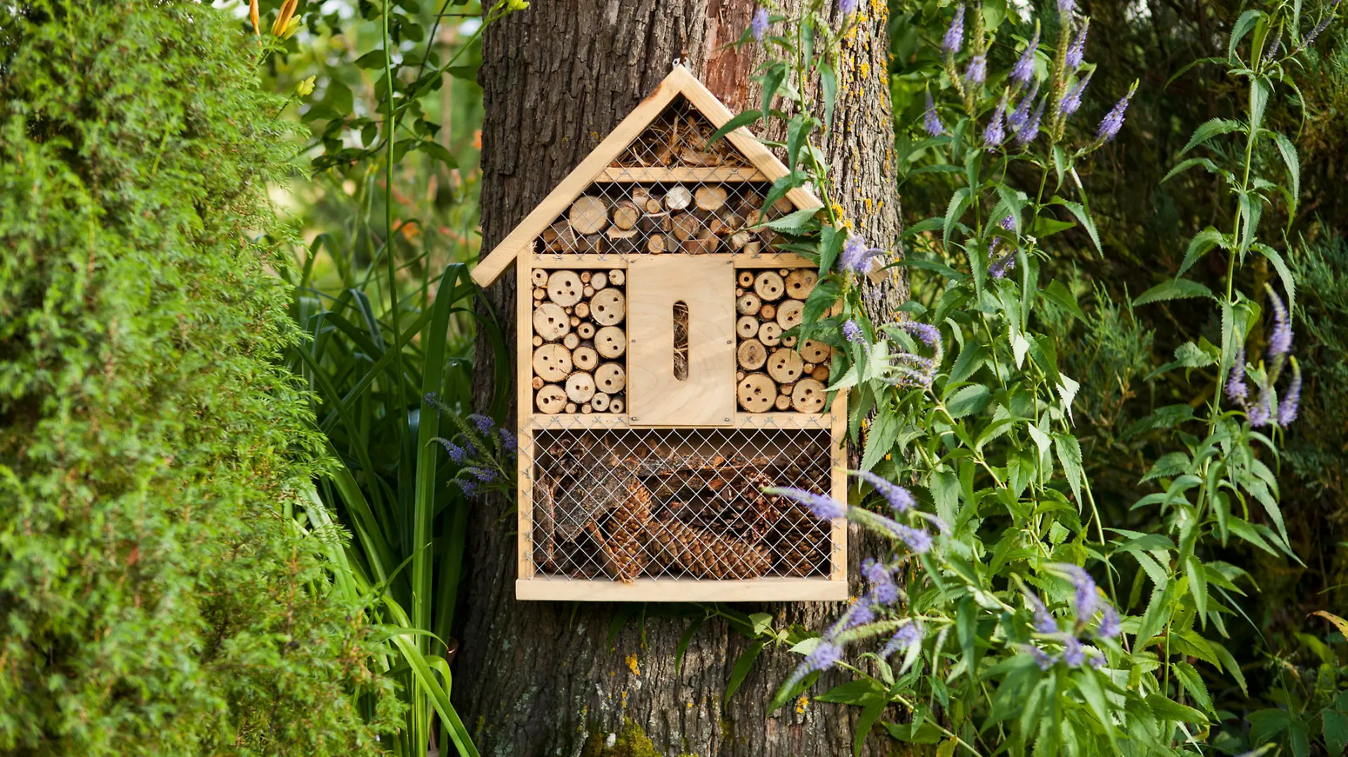 Insect house in the garden, protection for insects, insekten hotel.