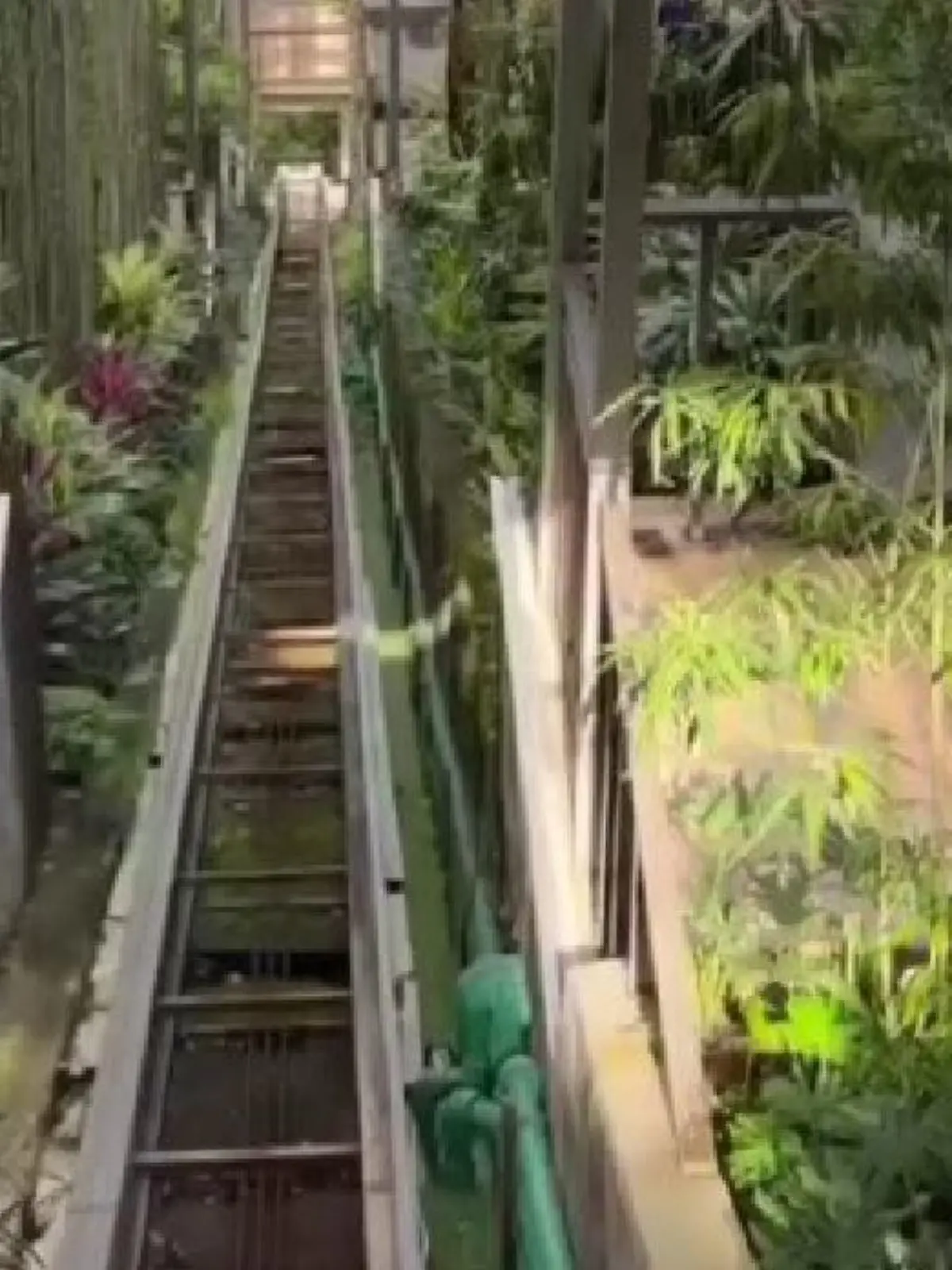 In einem Instagram-Video des Hotels ist zu sehen, wie der Aufzug die lange Strecke zurücklegt.