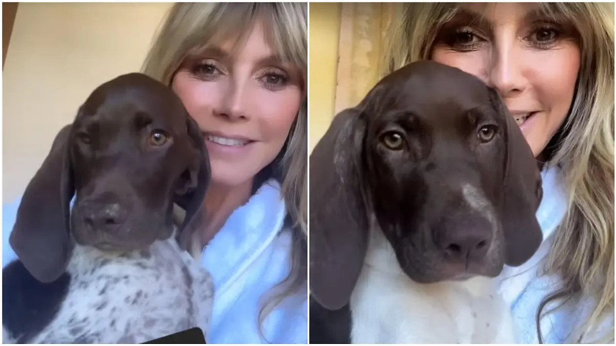 Heidi Klum zeigt ihre neuen Welpenschätze.