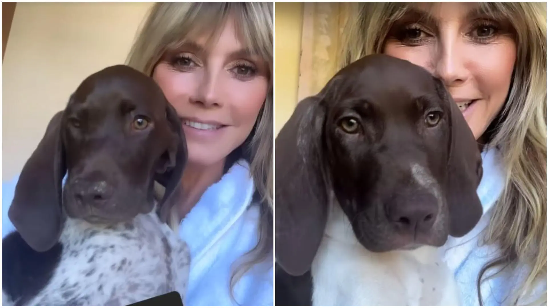 Heidi Klum zeigt ihre neuen Welpenschätze.