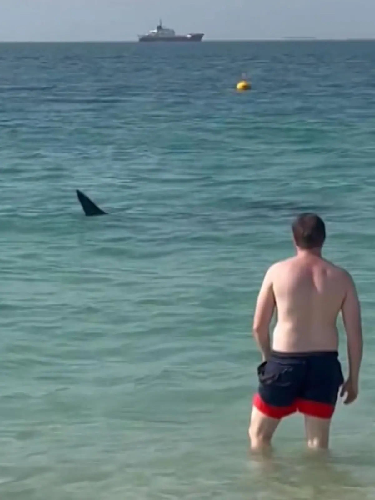 Nicht weit weg von Katar, dem Austragungsort der aktuell stattfindenden Fußball-WM, sorgt ein Hai für verängstigte Badegäste. Das Raubtier kreist unmittelbar vor einem beliebten Strand in Dubai herum und steuert auf einmal sogar in Richtung einer Frau – es droht Gefahr. Die überraschende Reaktion der Urlauberin sehen Sie im Video.