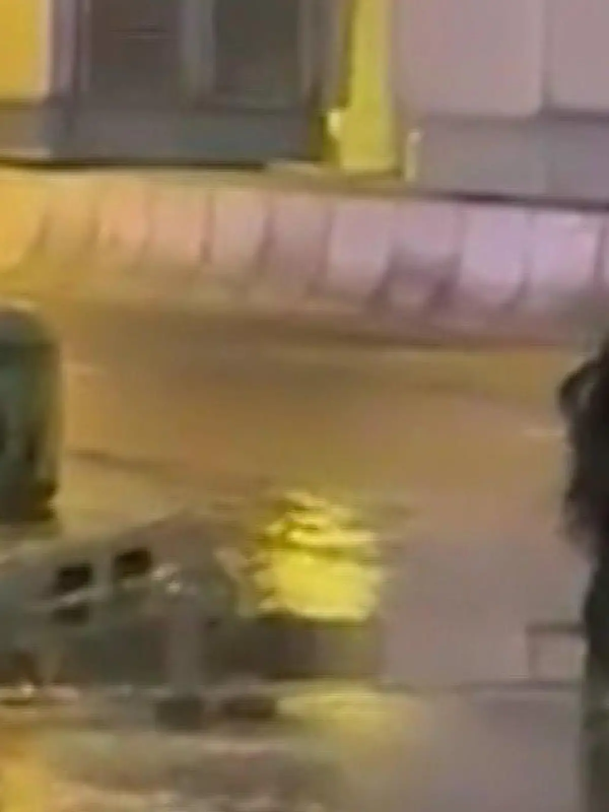 Für das perfekte Instagram-Foto? Während in Hongkong Taifun Saolo wütet, posiert eine Frau mitten im Sturm auf der Straße. Wegen des Tropensturms mussten hunderttausende Menschen in China evakuiert werden.