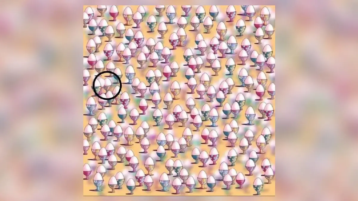 Suchbild-Auflösung