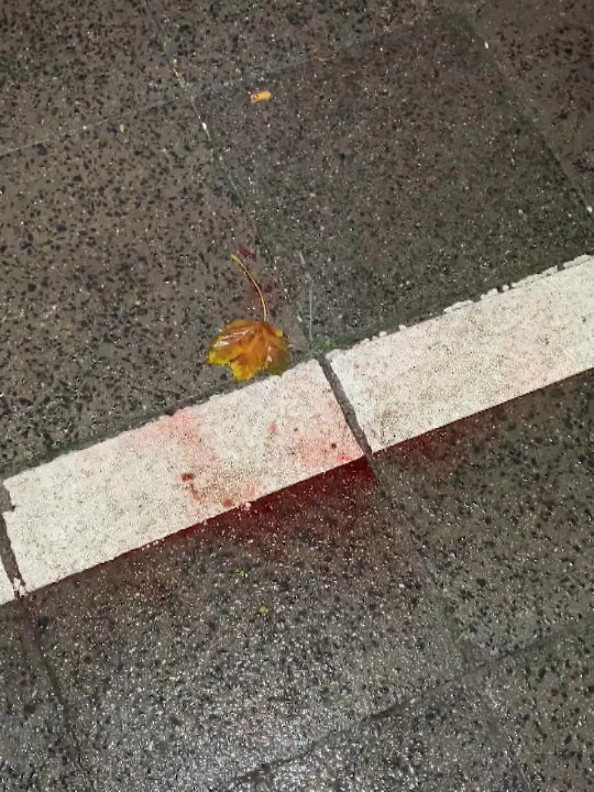 Bild zu: "Radfahrer stirbt in Krefeld"