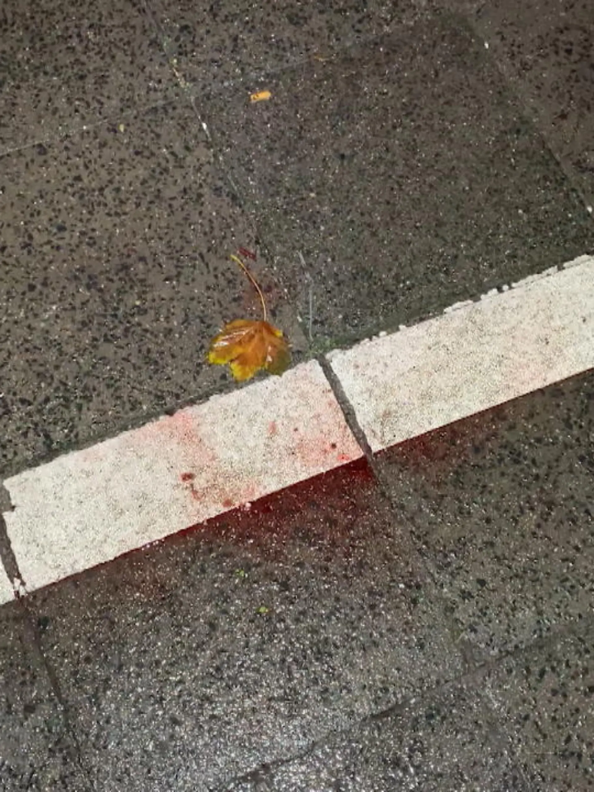 Bild zu: "Radfahrer stirbt in Krefeld"