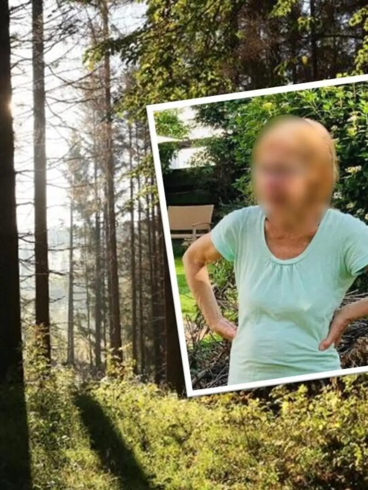 Gabriele M. (69) starb in einem Wald bei Schiffweiler.