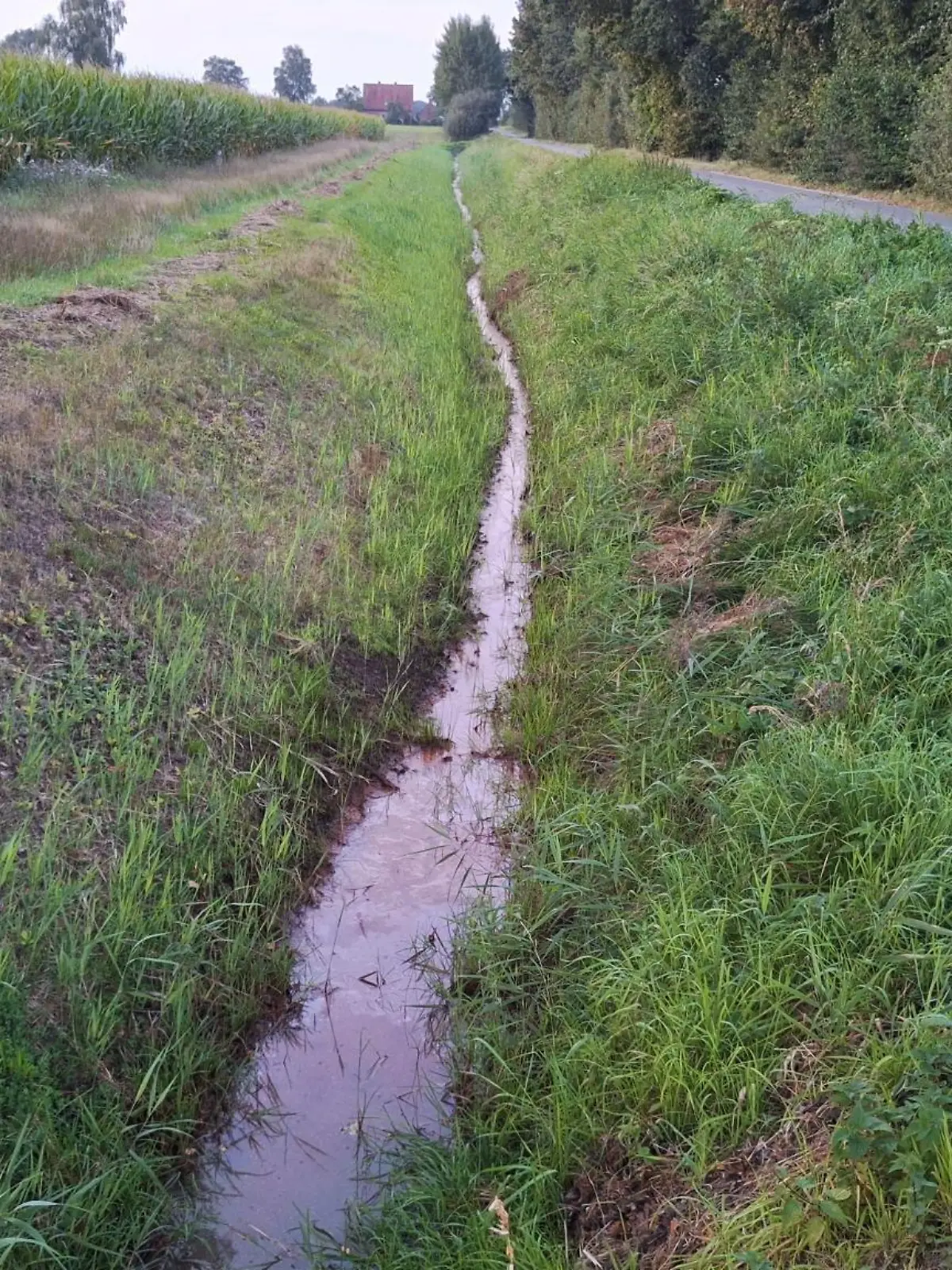 In einem Graben neben der Fahrbahn fand ein Fahrradfahrer am Sonntagabend die Leiche des Mädchens.