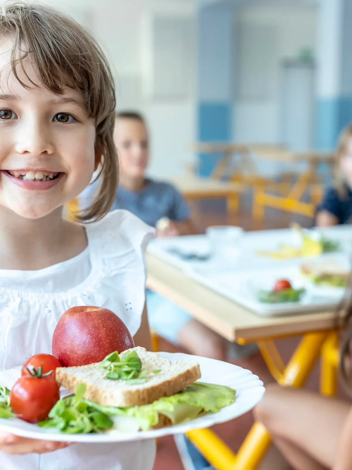  Smiling student holding healthy meal on plate standing at cafeteria model released, Symbolfoto property released, WESTF25272