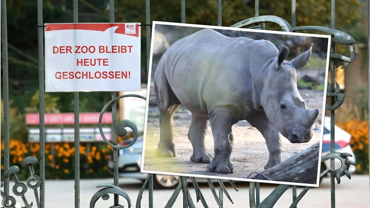 Im Zoo Salzburg tötete ein Nashorn eine Tierpflegerin.