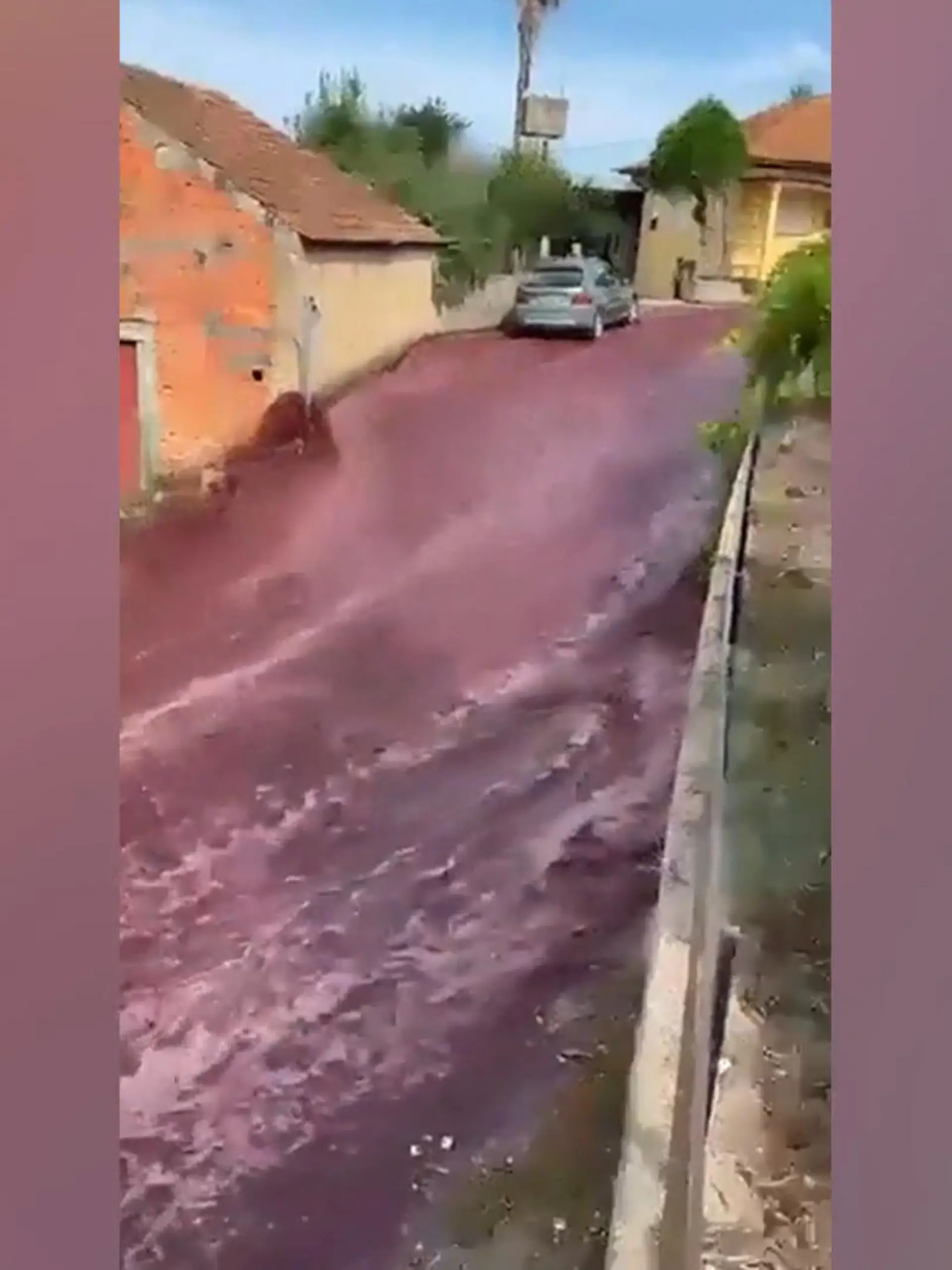 2,2 Millionen Liter Rotwein sind aus zwei großen Behältern einer Brennerei in São Lourenço do Bairro in Portugal ausgelaufen. Die hügelige Landschaft sorgte dafür, dass der Wein die Straßen nach unten strömte. Einige Häuser haben Schäden im Keller und an der Fassade abbekommen - die Feuerwehr löste umgehend einen Umweltalarm aus und sperrte die Straßen ab.