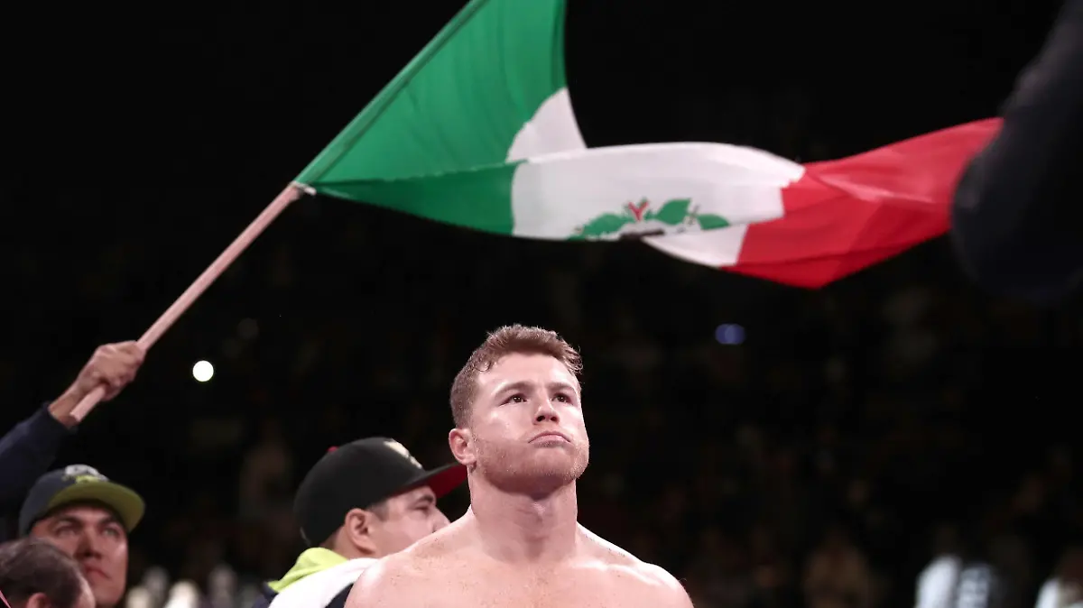 Canelo Alvarez, Boxen