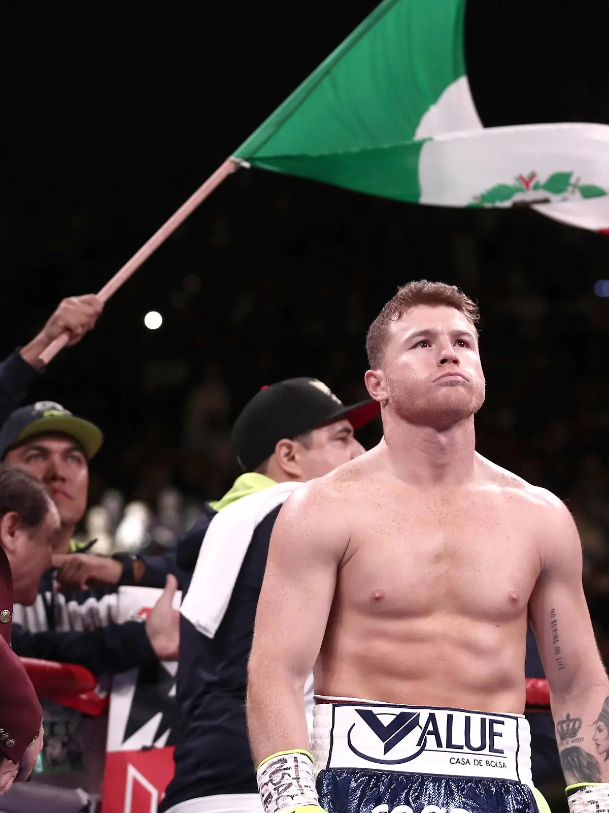 Canelo Alvarez, Boxen