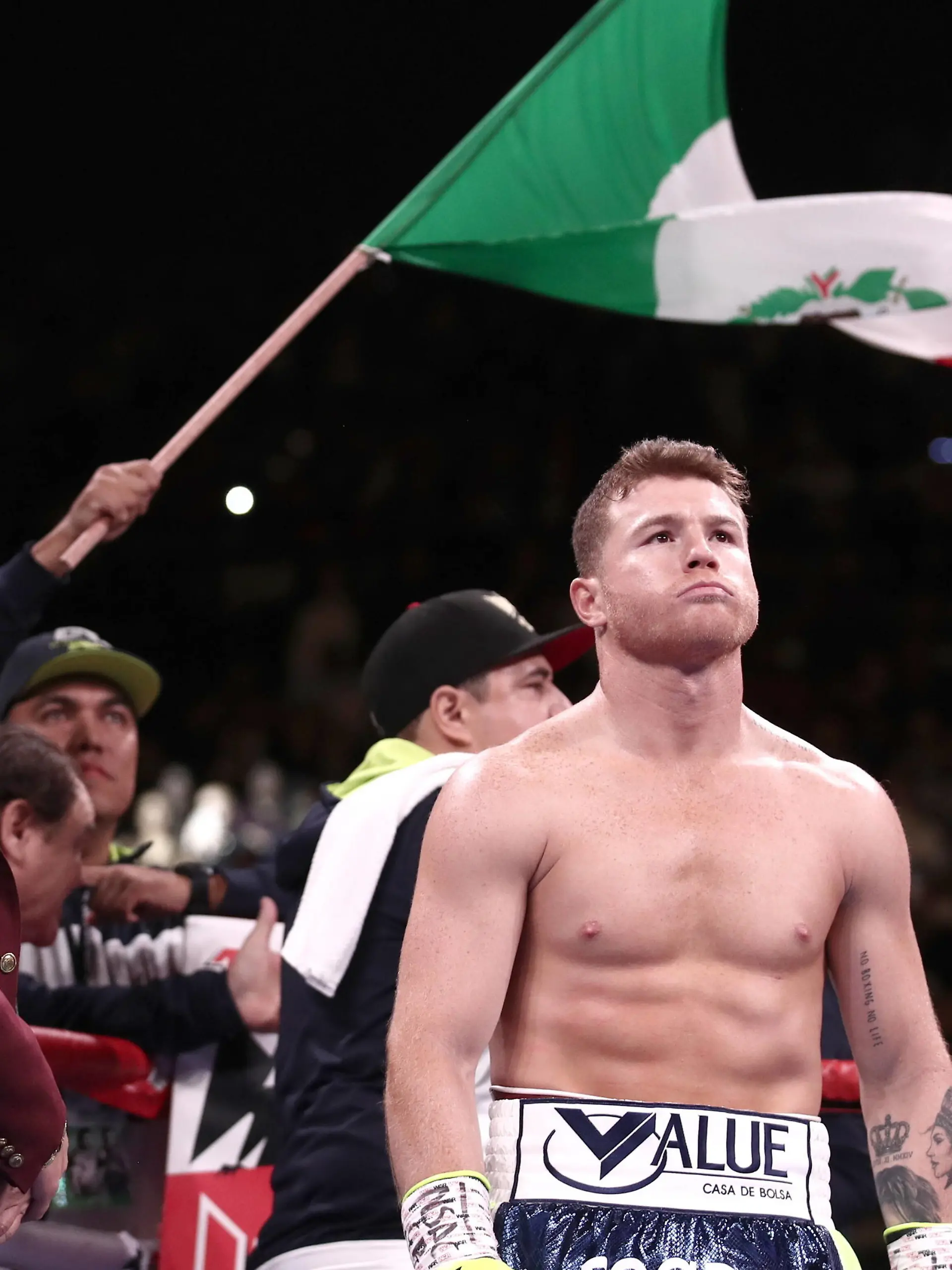 Canelo Alvarez, Boxen