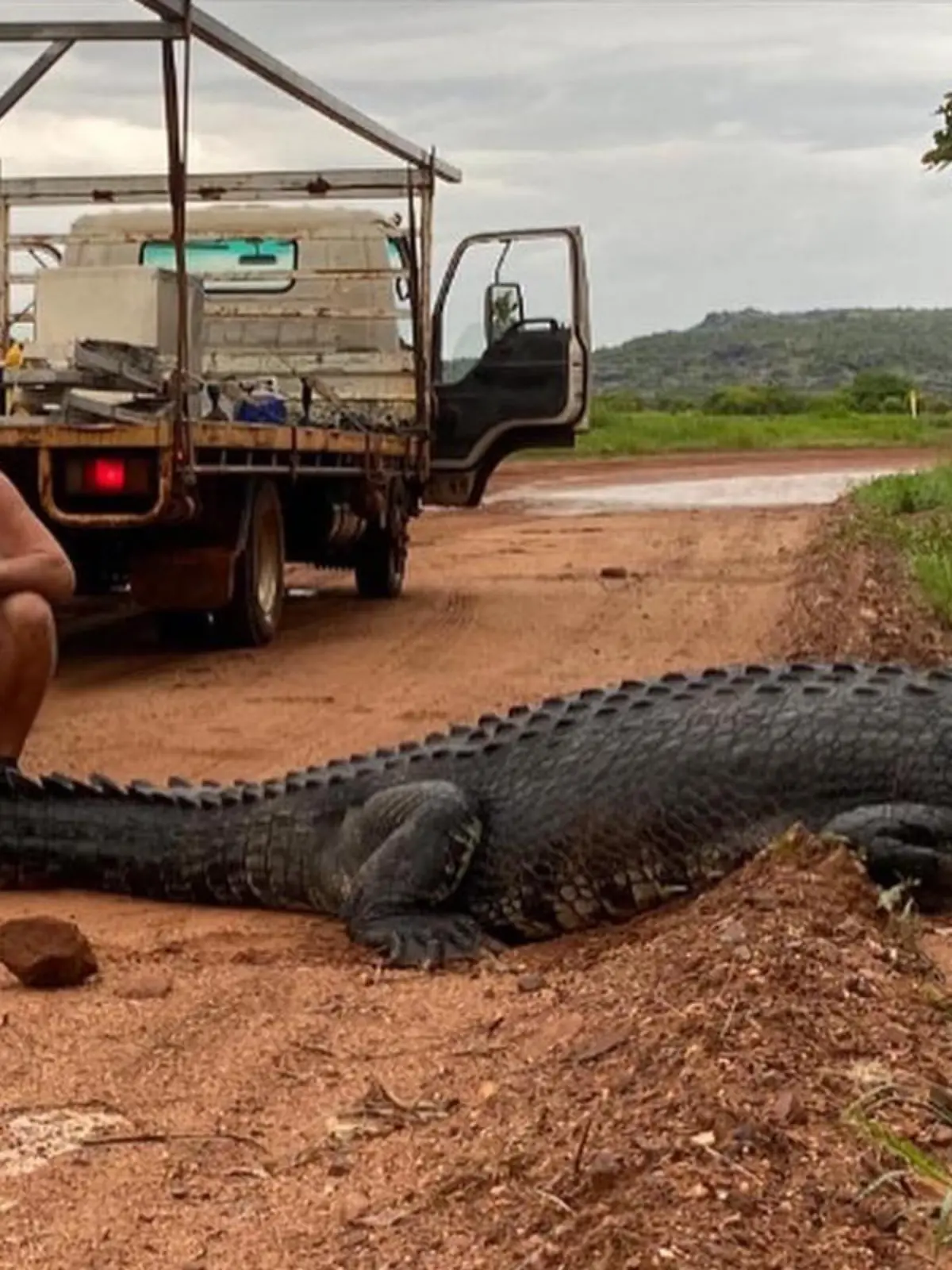 Das hätte tödlich enden können! Ein Handwerker war in Australien auf dem Weg zur Arbeit, als er plötzlich ein gigantisches Krokodil am Straßenrand sah. Er näherte sich dem Krokodil für ein Schnappschuss und unterschätzte die damit einhergehende Gefahr. Mehr dazu im Video.