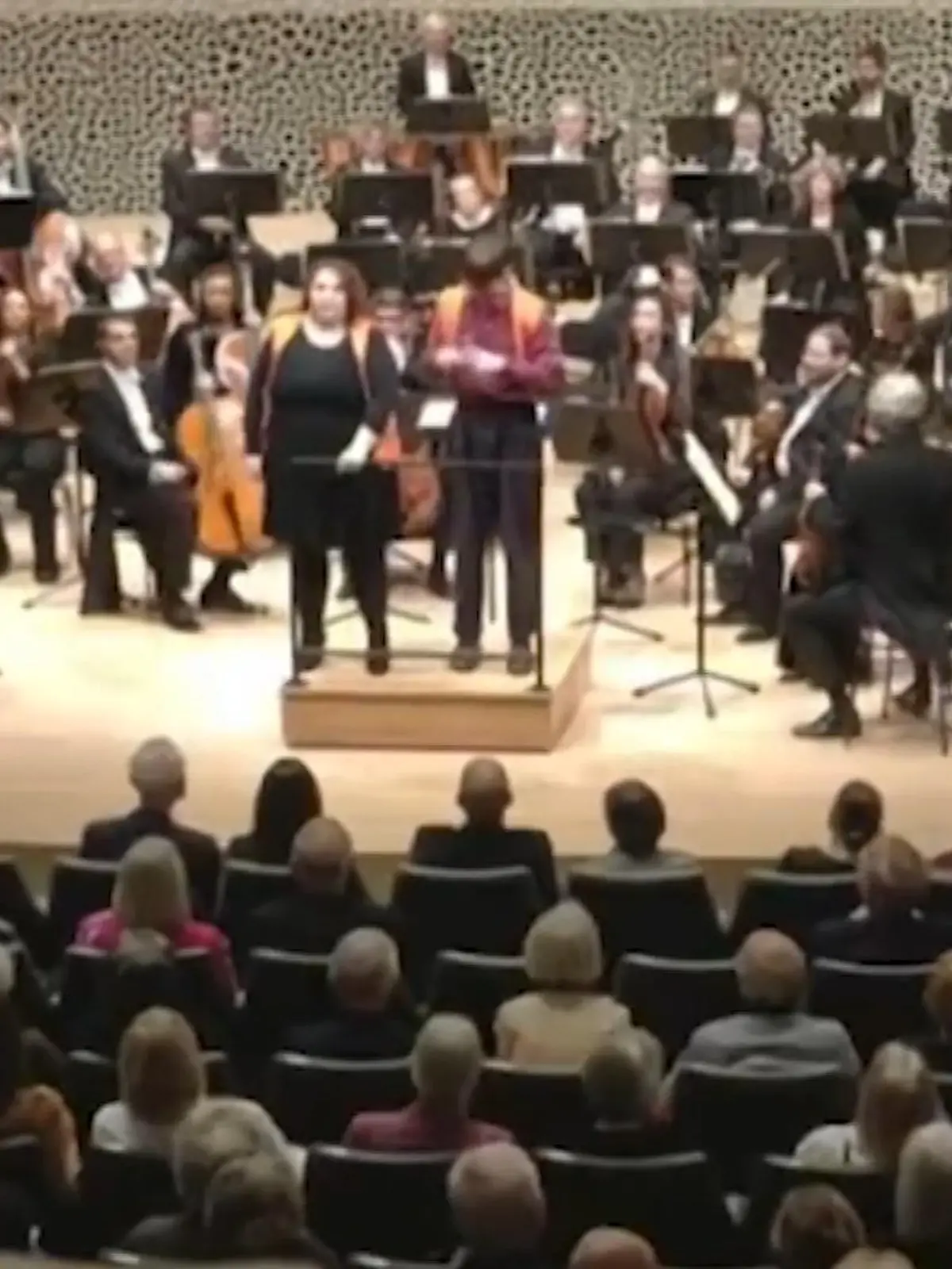 Einfach nur WOW! In der Elbphilharmonie in Hamburg haben sich vergangenen Mittwoch eine Aktivistin und ein Aktivist von der „Letzten Generation“ am Geländer des Dirigentenpults festgeklebt. Im prächtigen Konzertsaal ist dieses jedoch nur eingesteckt – die Möchtegern-Weltretter wurden also kurzerhand einfach auf den Flur gestellt. Die irre Aktion sehen Sie in unserem Video.