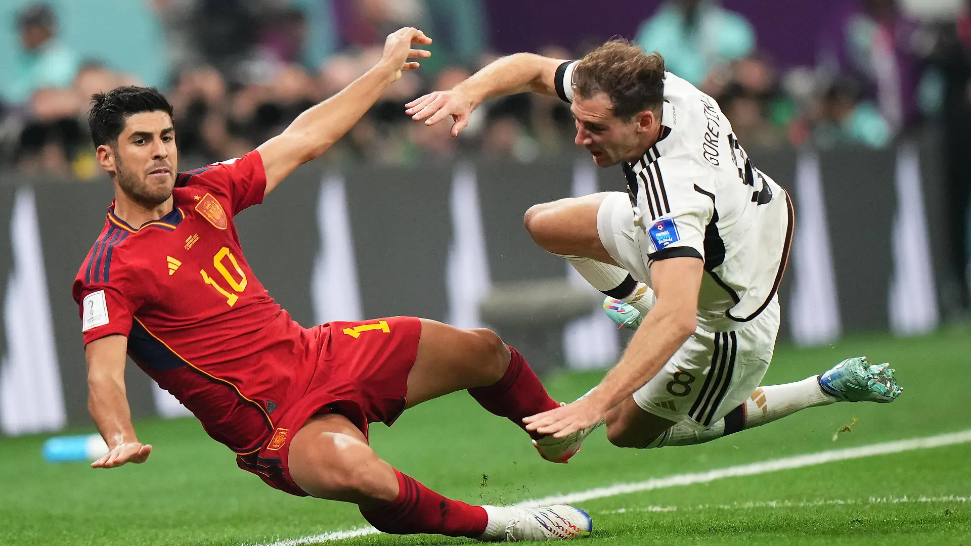  QAT: Spain v Germany. FIFA World Cup, WM, Weltmeisterschaft, Fussball Qatar 2022 Marco Asensio of Spain and Leon Goretzka of Germany during the FIFA World Cup Qatar 2022 match, Group E, between Spain and Germany played at Al Bayt Stadium on Nov 27, 2022 in Al Khor, Qatar. Al Khor AL Khor Qatar PUBLICATIONxINxDZAxARGxAUTxBHRxBRAxCANxCHLxCHNxCOLxECUxEGYxGRCxINDxIRNxIRQxISRxJORxKWTxLBNxLBYxMLTxMEXxMARxOMNxPERxQATxSAUxSUIxSYRxTUNxTURxUAExUKxVENxYEMxONLY Copyright: xSipaxUSAx Editorial use only