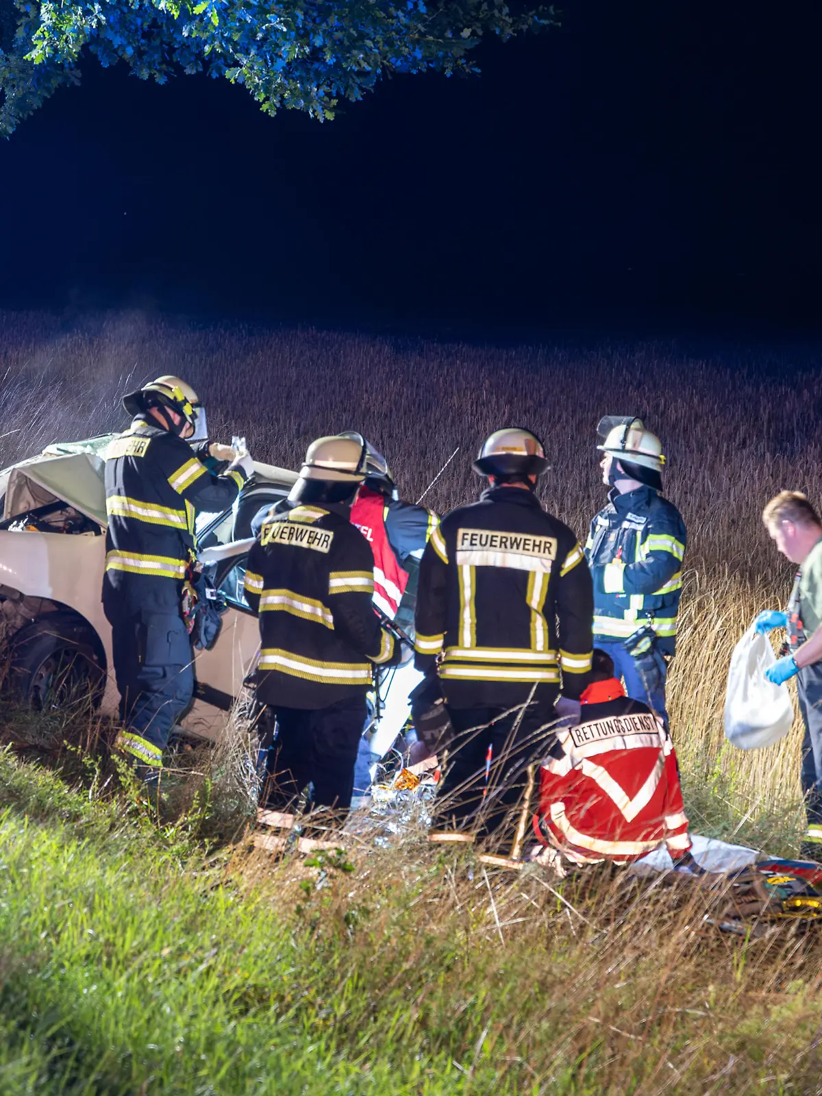 Gegen drei Uhr in der Nacht schleuderte der Wagen aus einer Rechtskurve gegen einen Baum.