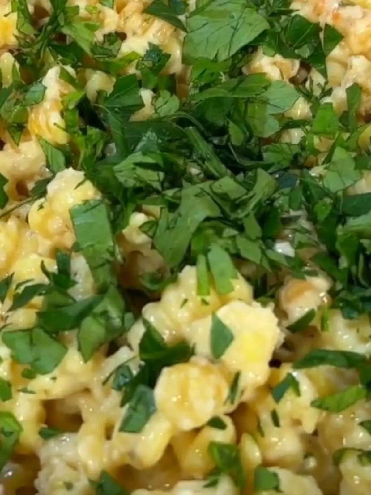 Bild zu: "Knoblauch-Zitronen-Pasta aus dem Ofen"