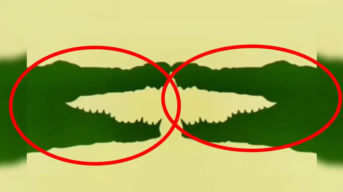 Optische Täuschung Krokodile