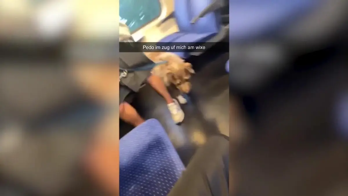 Ekel-Video aus Regionalzug: Mann masturbiert vor Schülerin – 15-Jährige schreit ihn an-> 