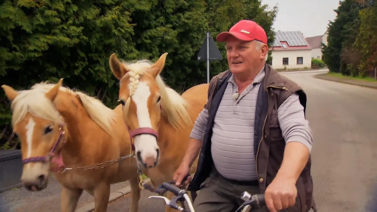 Dietrich-Max-Helmut sucht eine lebenslustige Partnerin "Bauer sucht Frau"-Kandidat